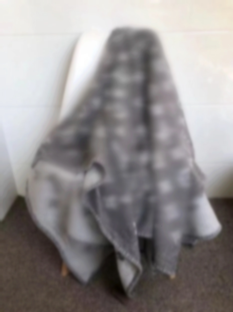 Design Wool Cashmere Signage Blankets Classic Pattern Come with Tags Throw Blanket for Bed Sofa Autumn Winter Luxury Shawl