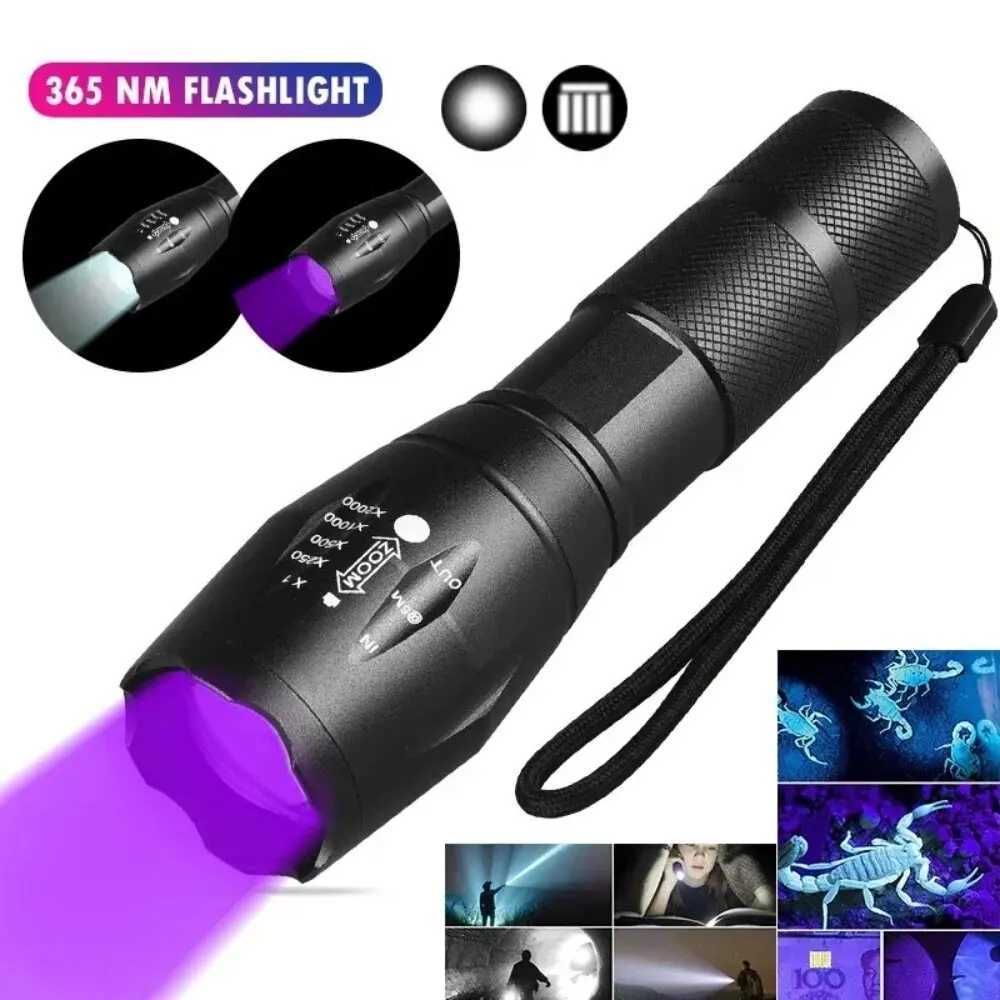 2-in-1 Type C Rechargeable UV Flashlight Torch Light 395nm Black Light Portable Ultraviolet Light Pets Blacklight Uv Flashlights C251122