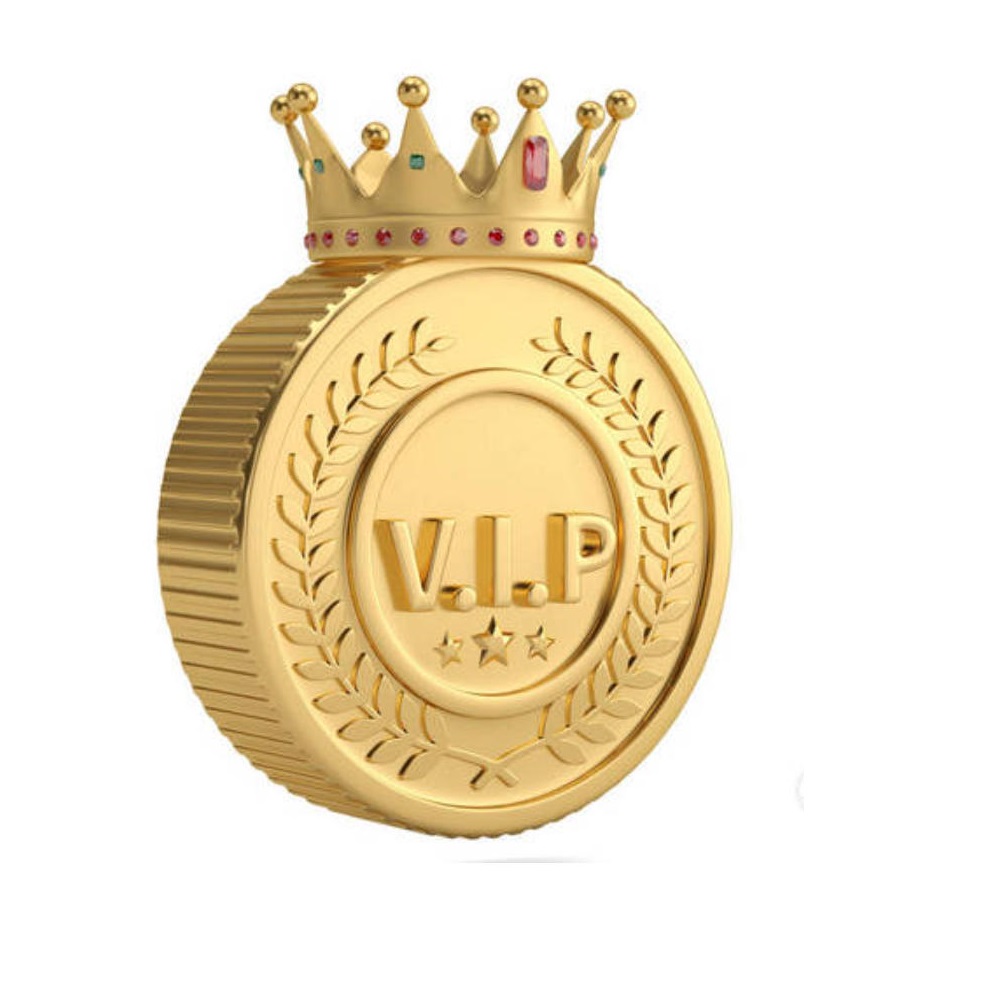 MaPP-02 VIP-Only Payment Portal: Orders, Balance Recharge & Express Delivery