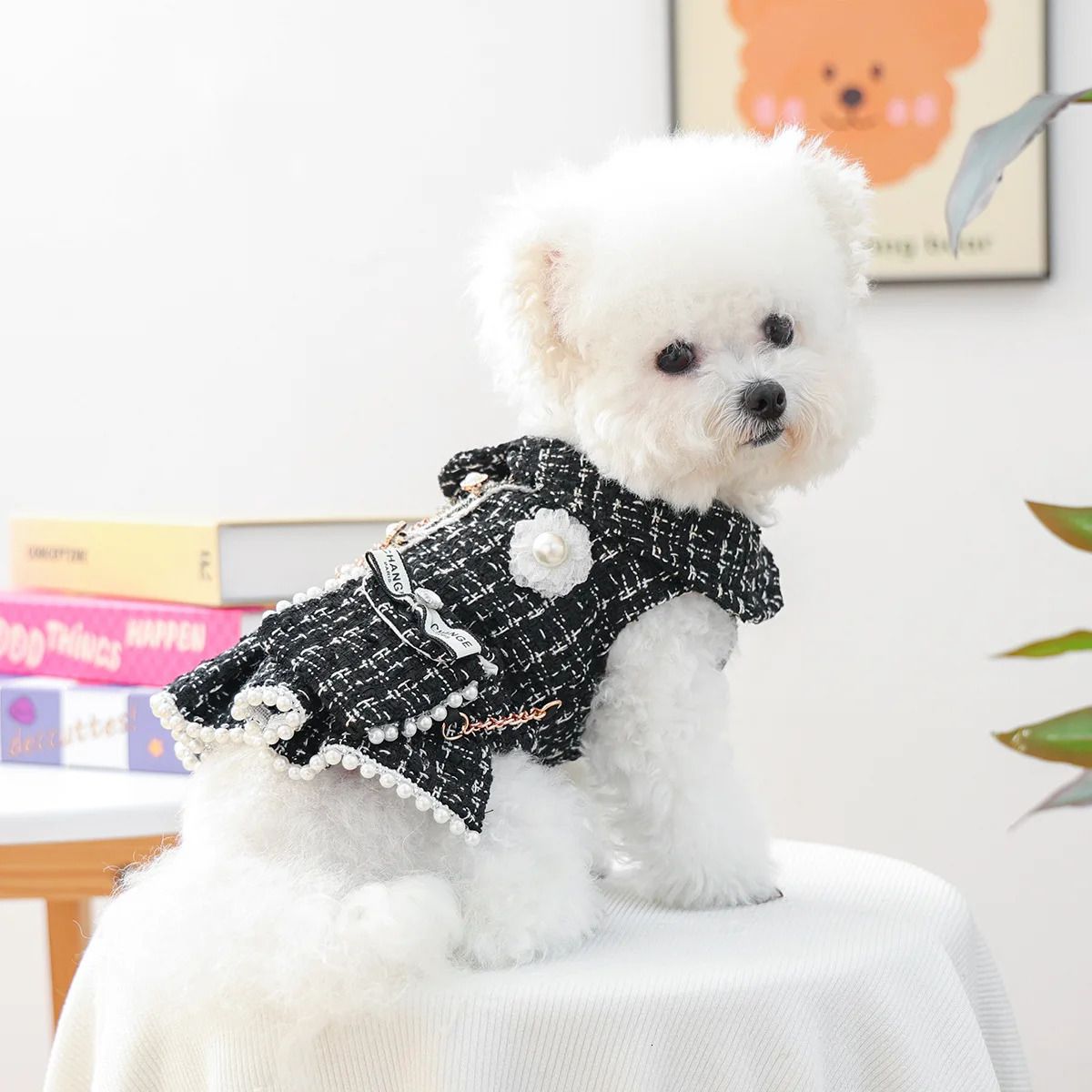 Luxury Pet Autumn and Winter Woolen Dress Small Dog Warm Backpack Jacket Dog Clothes for Small Dogs Puppy Clothes