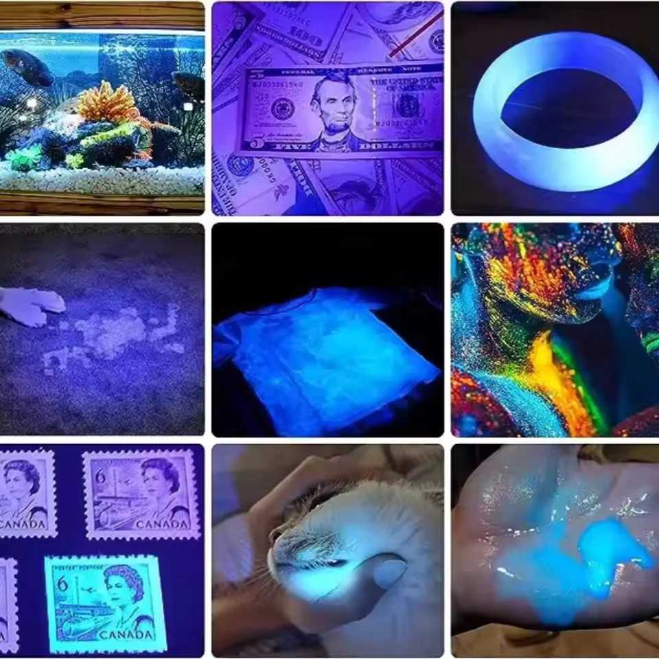 2-in-1 Type C Rechargeable UV Flashlight Torch Light 395nm Black Light Portable Ultraviolet Light Pets Blacklight Uv Flashlights C251122