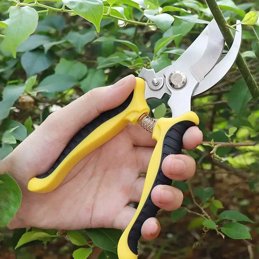 Horticultural Scissors Gardening Shears Professional Pruner Bird Beak Hand Clippers Household Pruning Picking Fruit Tools J251121