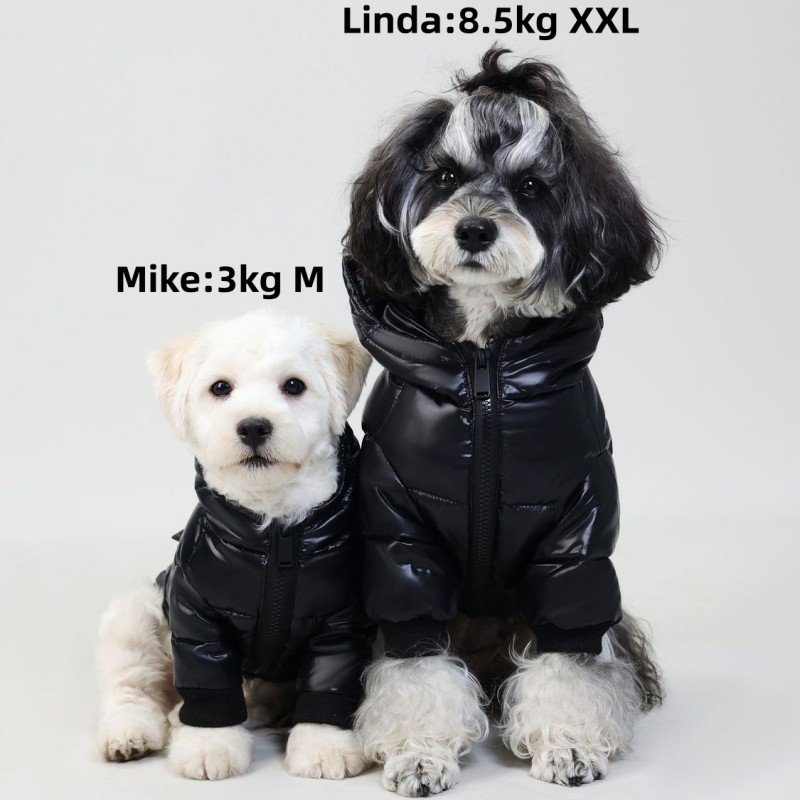 Shiny Puffer Dog Jacket with Hood for Maltese, Poodle & Small Medium Breeds, Warm Down Pet Coat, Stylish Zipper Dog Puffer Jacket, Cozy Cold-Proof Dog