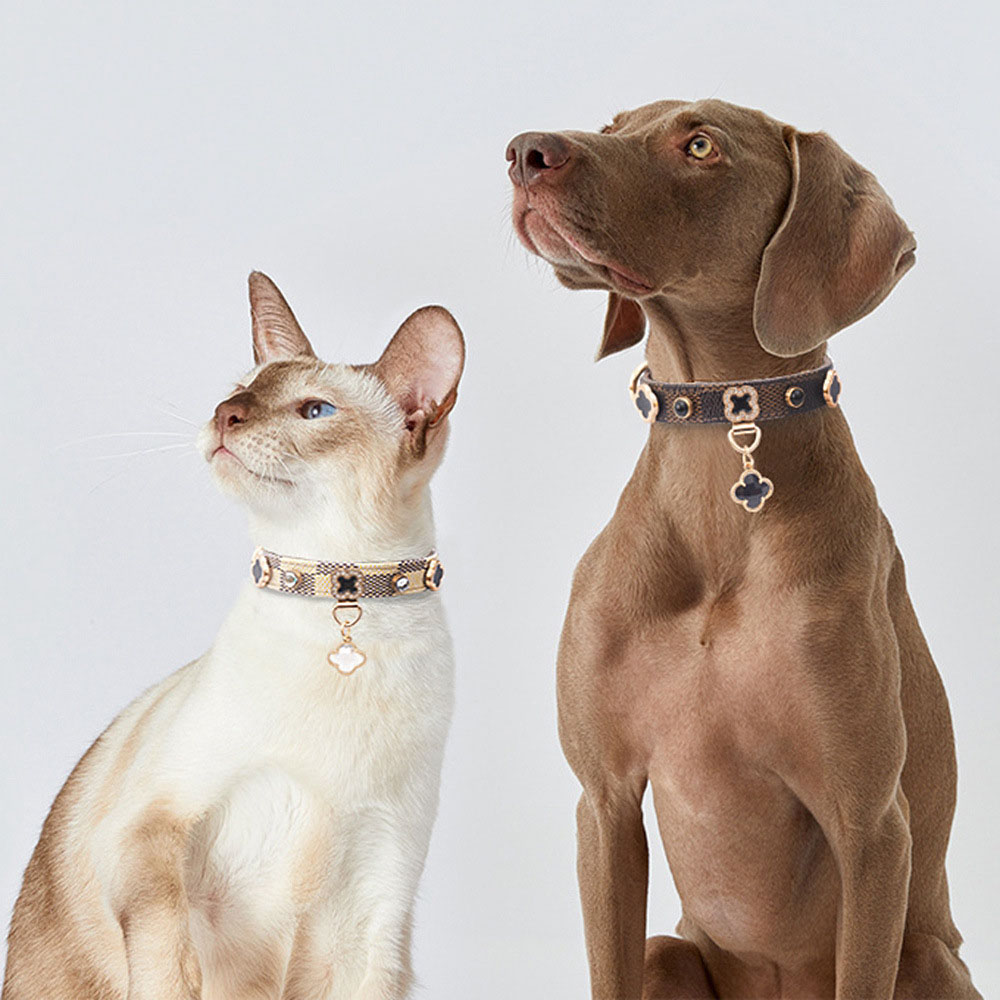 Designer Dog Collars Leashes Set Soft Adjustable Classic Printed Plaid Leather Pet Collar with White/Brown Flower Charms for Small Dogs Chihuahua Pood