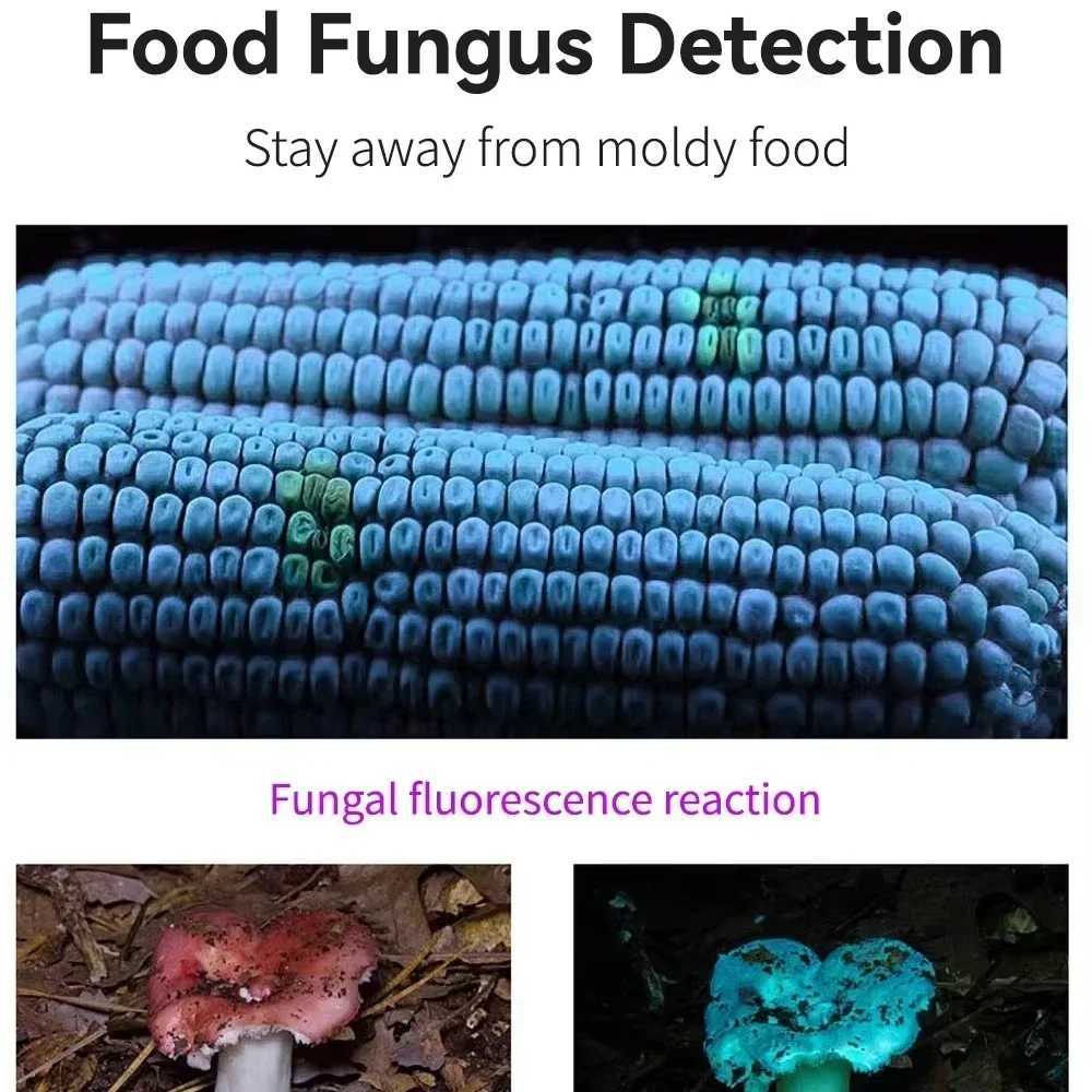 395nm UV Flashlight Ultraviolet LightPet Dog Cat Urine Detector Scorpion FinderPortable UV Lamp w/ Pen Clip Use AAA Batteries C251122