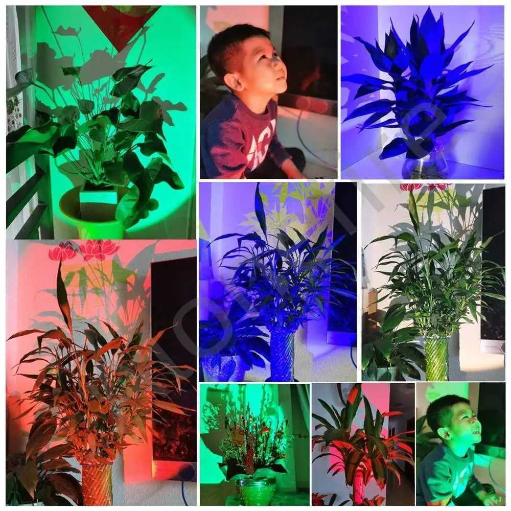 4 in 1 Multicolor Zoom Led White/Red/Green/Blue Lighting Flashlight Outdoor Hunting Photographic Selfie Hiking Camping Totch C251122