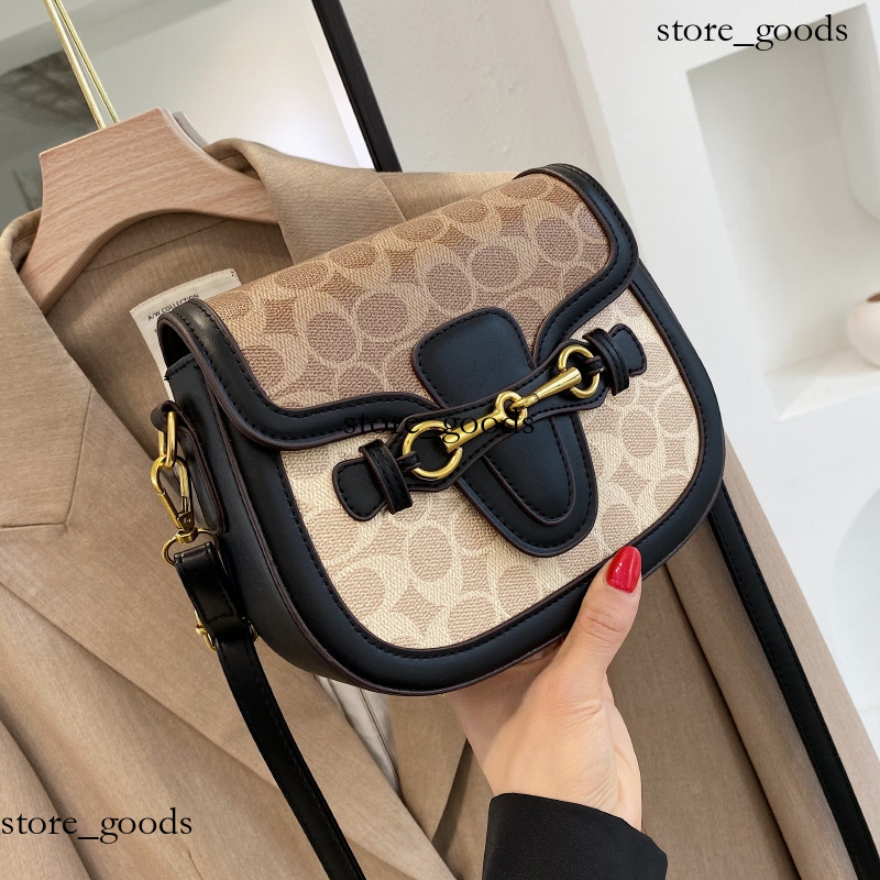 New Designer Fashion Popular Printed Single Shoulder Crossbody Bag Premium Texture For Women Luxury Bag