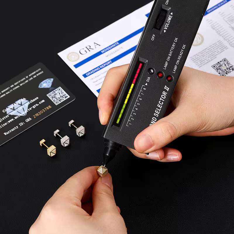 Originality Screw Back 925 Silver Earrings VVS Moissanite Diamond Jewelry Waterproof House Shape Men Women Stud Earrings