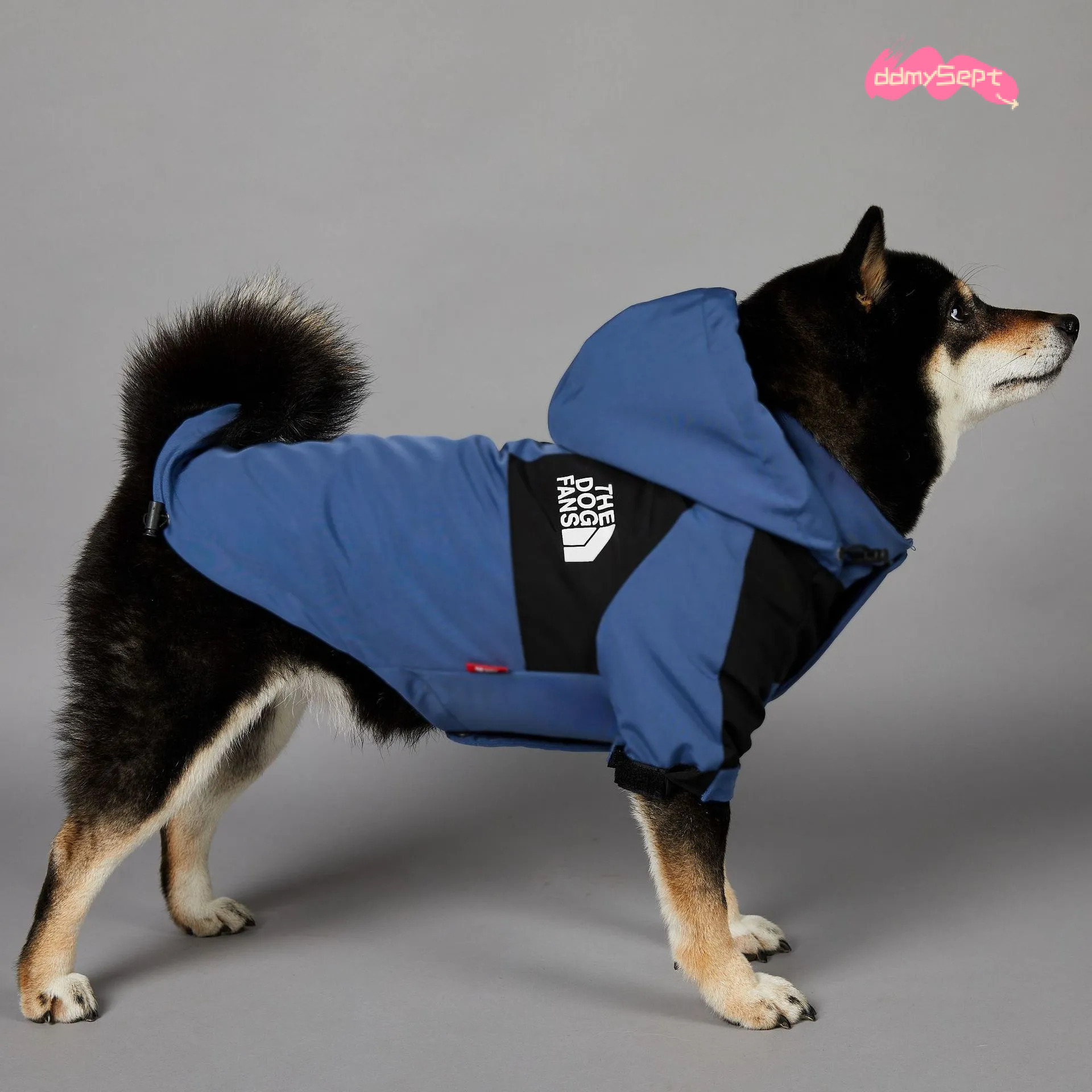 Dog Coat Autumn Winter Jacket Adjustable Hood Waterproof Windproof Pet Clothes with Leash Hole for Small Medium Large Dogs Blue XL H11.21 ddmysept