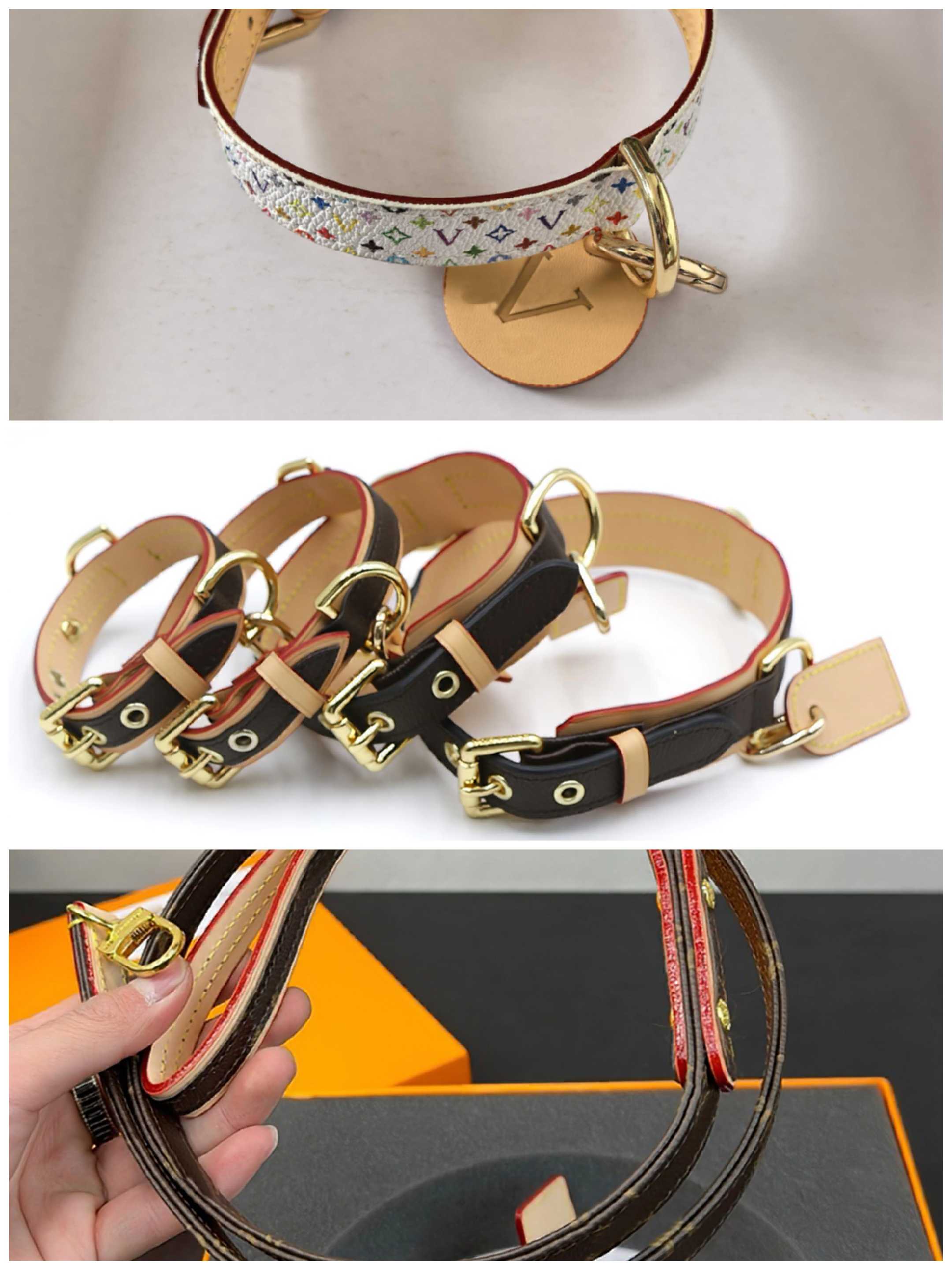 Designer Collars Set White Multi collar Dog Tag Durable Leather Collar and Leash with Metal Buckle for Small Dogs Puppy Collar Traction Rope Pet Tract