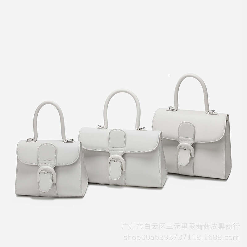Belgian new Brillant color blocked Box cowhide horseshoe buckle crossbody bag handbag for women