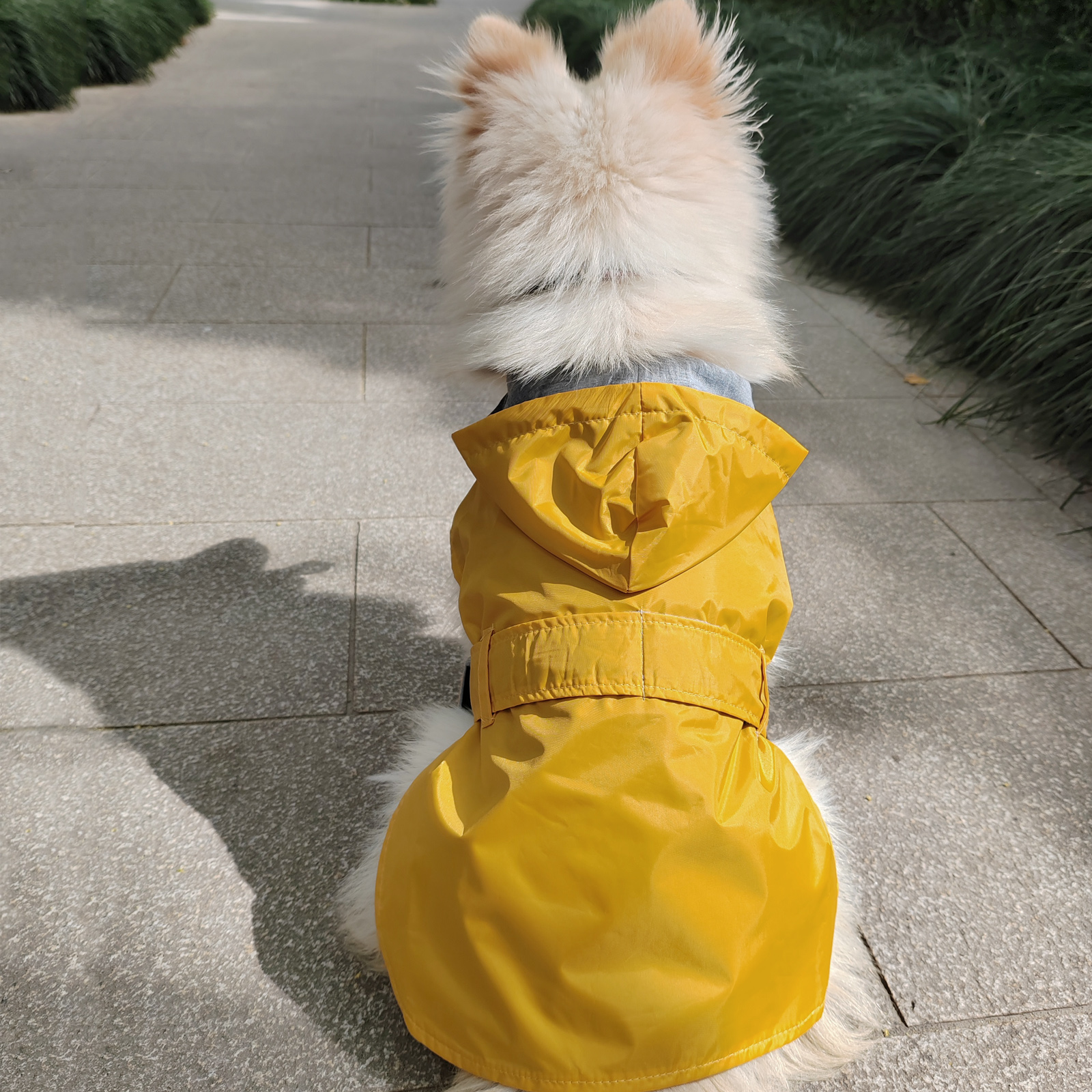 Doggy Clothes Waterproof Dog Coat Dog Raincoats Rain Jacket Poncho for Puppy Small Medium Dogs Pet Coat Slicker Breatheable Hooded Breathable Harness 
