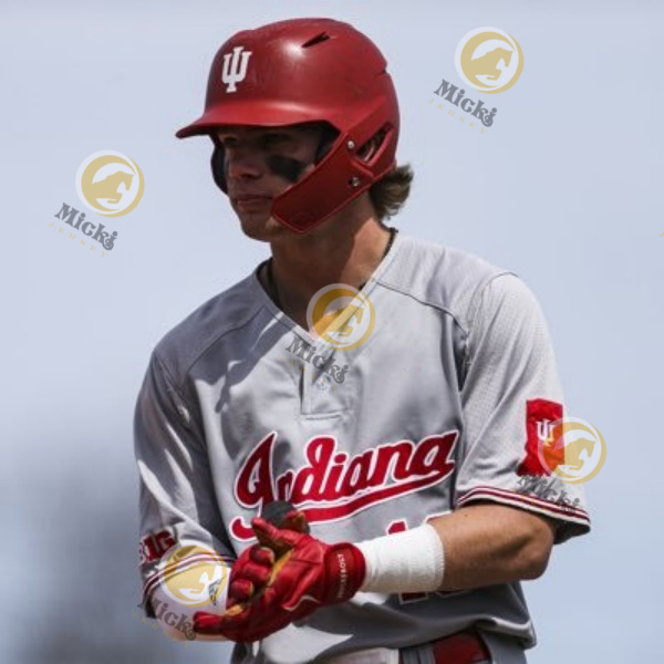 Kyle Schwarber Indiana Baseball Jersey Bradley Brehmer Reese Sharp Braydon Tucker Ty Bothwell 29 Ryan Kraft Scott Effross Custom IndianaHoosiers Jerse