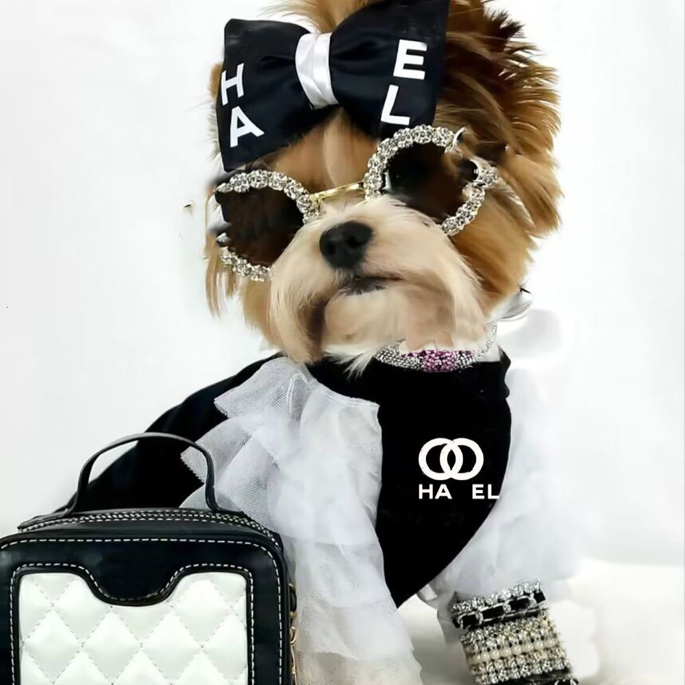 2026 new Designer with White Lace Clothes Summer Schnauzer T-Shirts Soft Elastic Breathable Puppy Shirts for Small Dog Medium Cats Black XXS