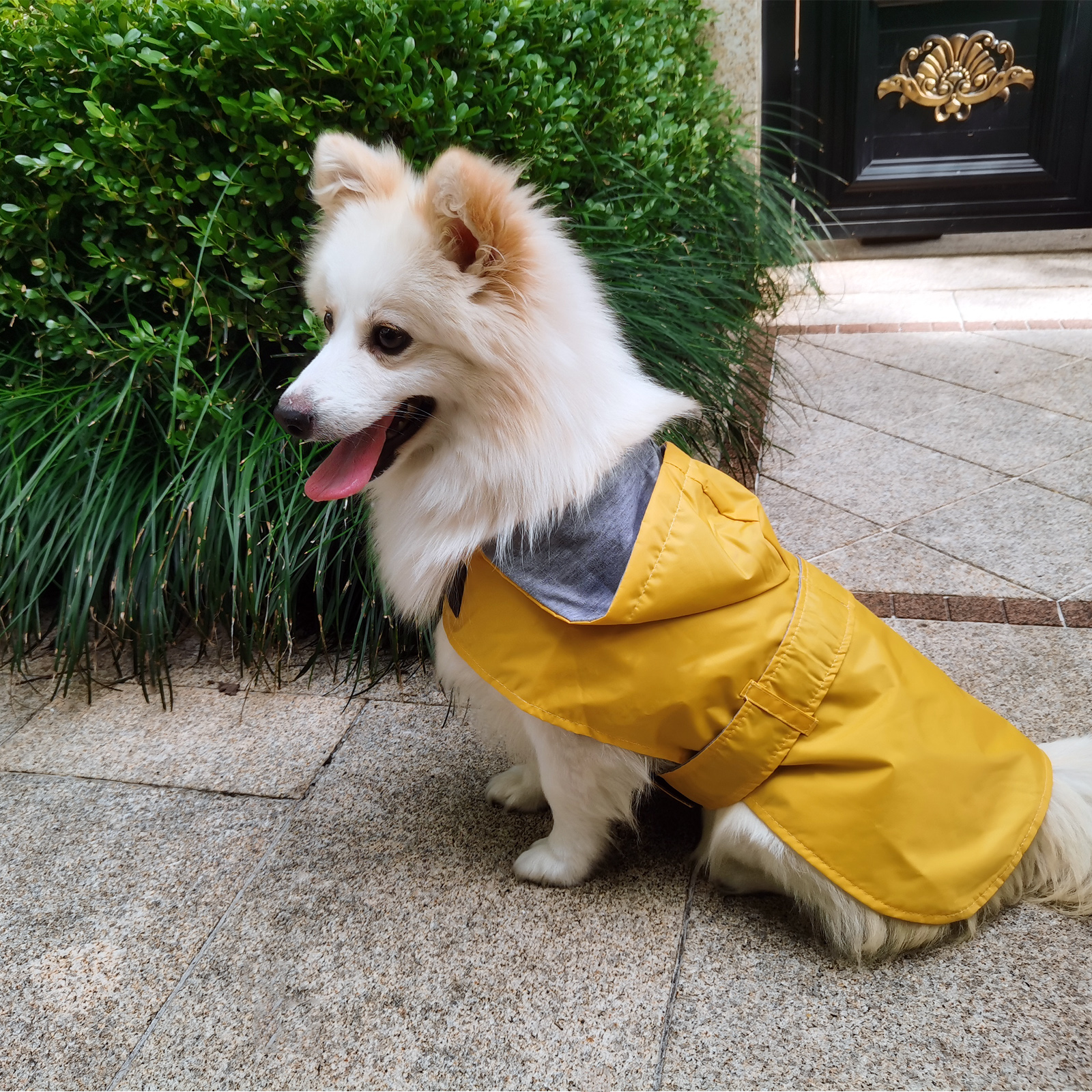 Doggy Clothes Waterproof Dog Coat Dog Raincoats Rain Jacket Poncho for Puppy Small Medium Dogs Pet Coat Slicker Breatheable Hooded Breathable Harness 