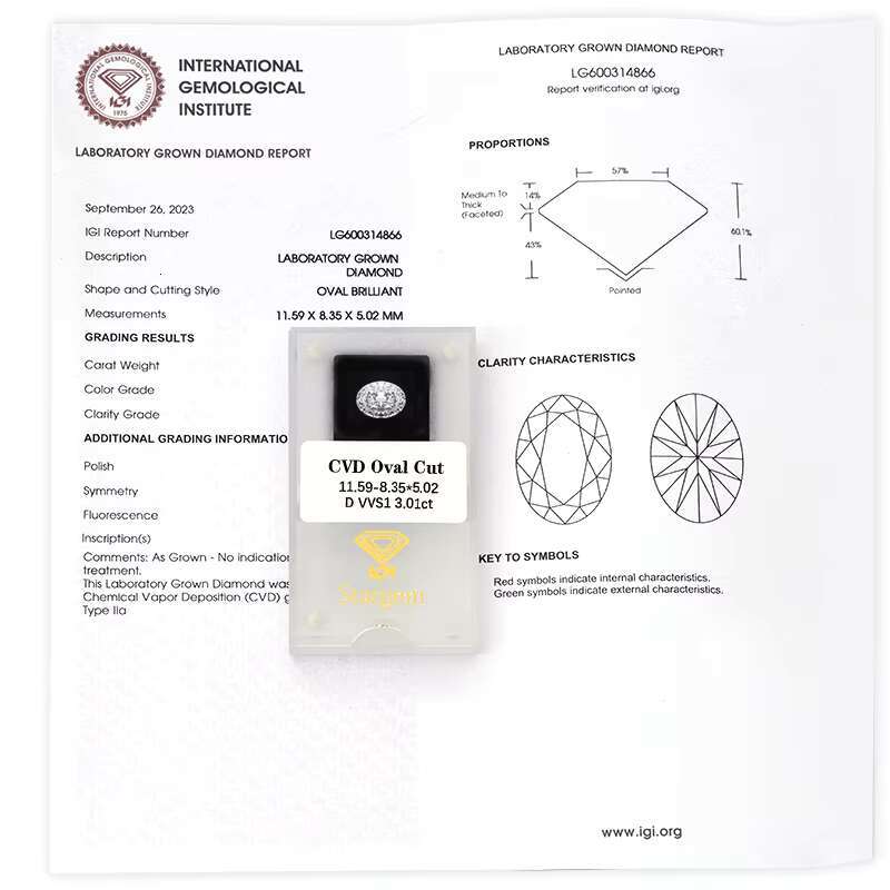 Loose Lab Diamond IGI GIA Certificate 1ct 2ct 3ct Oval Cut HPHT CVD Lab Grown Diamonds