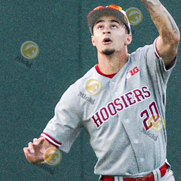 Kyle Schwarber Indiana Baseball Jersey Bradley Brehmer Reese Sharp Braydon Tucker Ty Bothwell 29 Ryan Kraft Scott Effross Custom IndianaHoosiers Jerse