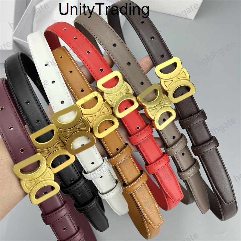 Designer Luxury Thin belts for women designer quiet genuine leather mens belt 25cm width fashion cei celinebelt celinelies celiine celinity celeineism Celins Q2T4