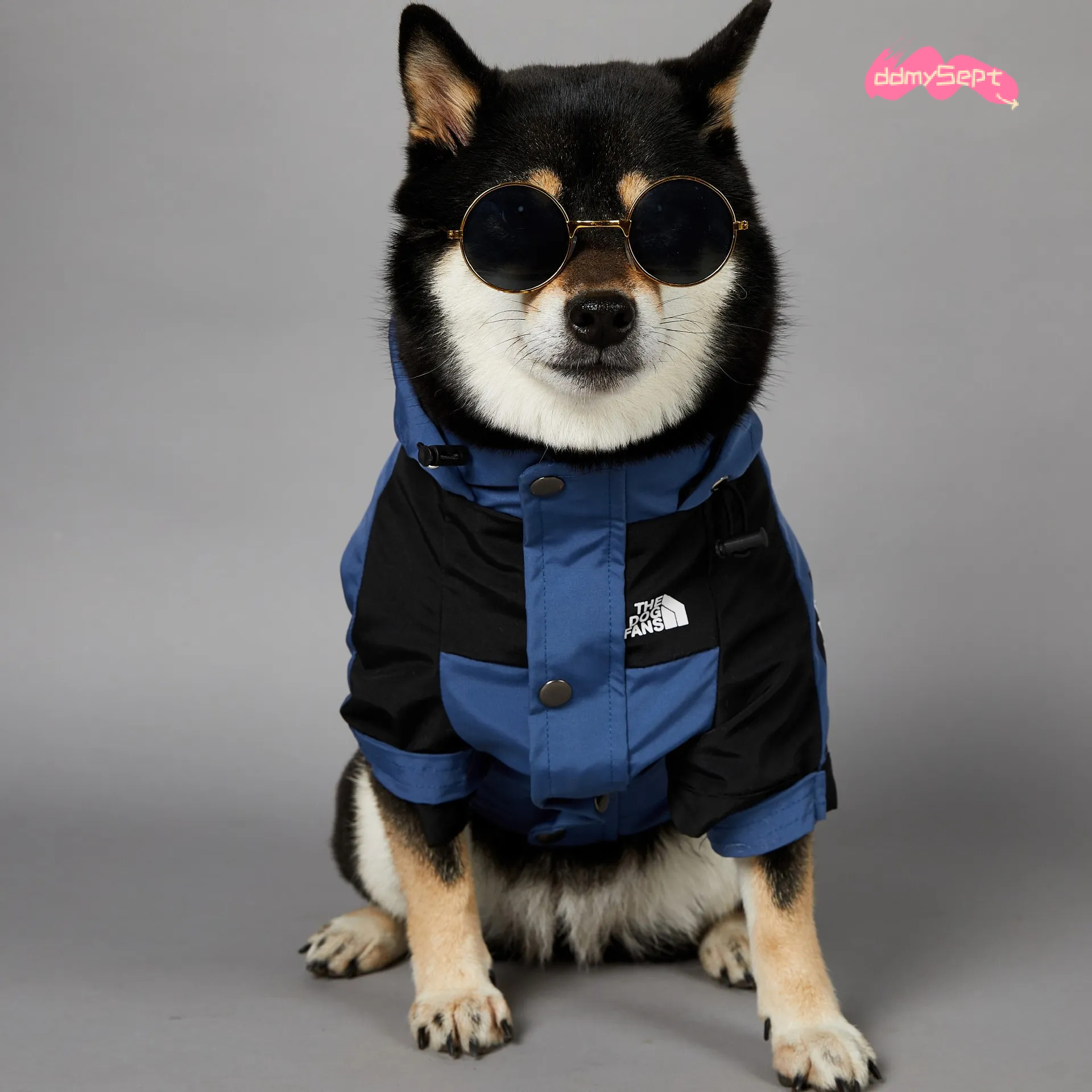 Dog Coat Autumn Winter Jacket Adjustable Hood Waterproof Windproof Pet Clothes with Leash Hole for Small Medium Large Dogs Blue XL H11.21 ddmysept