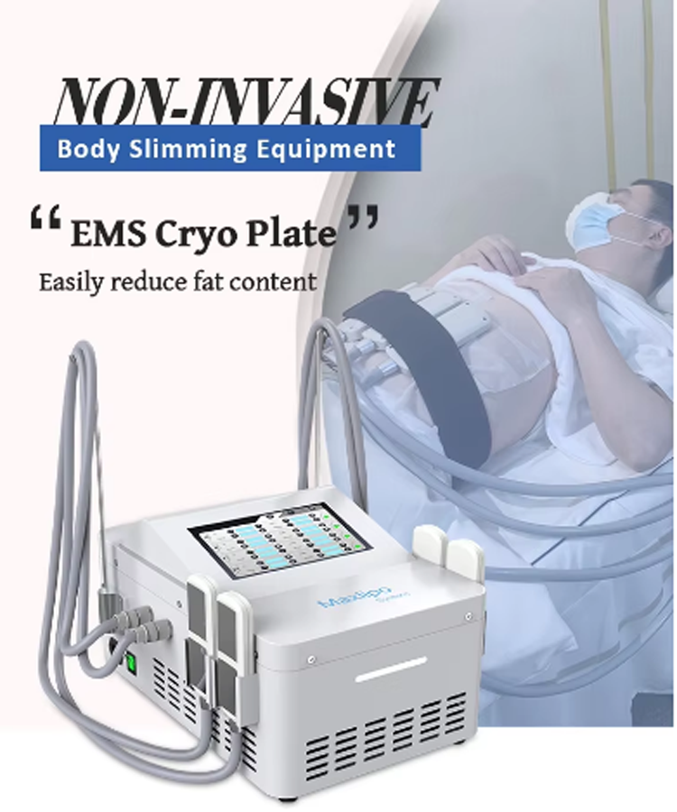 4 Cryo Pads Cold Body Sculpting EMS Criolipolisis Cryo Slimming Cryo plates EMS pads Cool Portable EMS Non Invasive Fat Freeze Fat Loss Body Sculpting