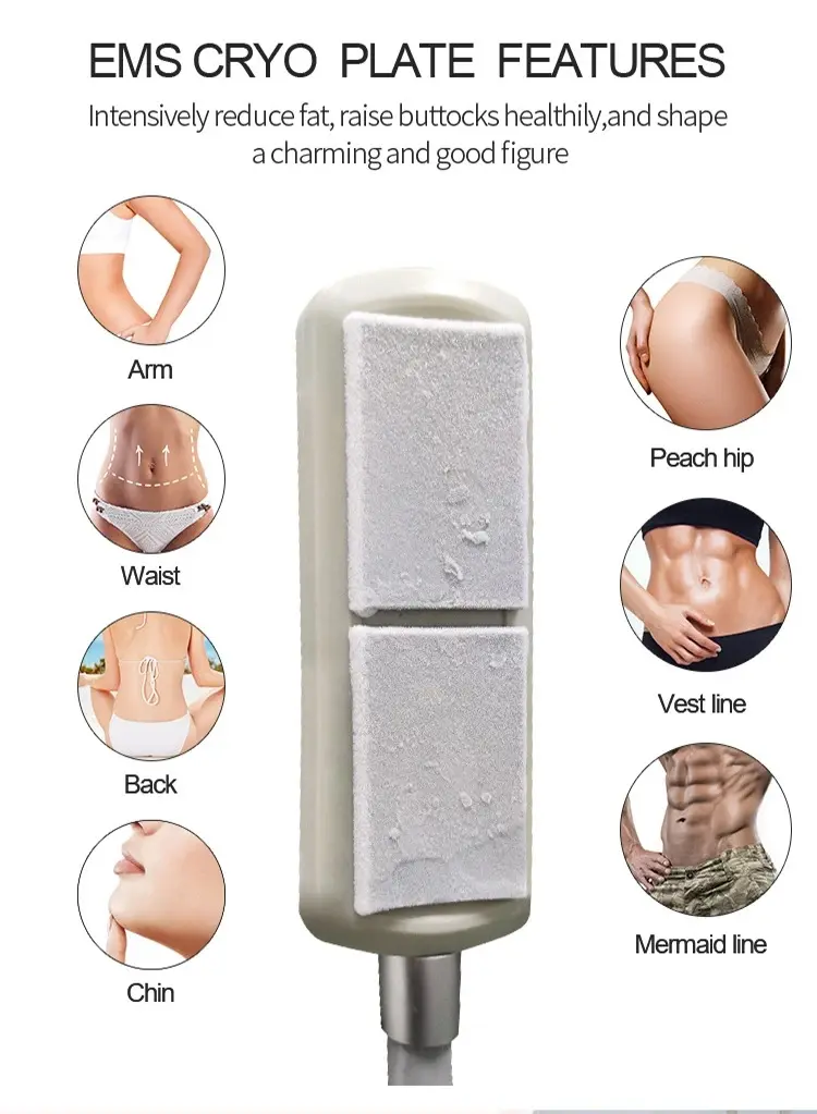 4 Cryo Pads Cold Body Sculpting EMS Criolipolisis Cryo Slimming Cryo plates EMS pads Cool Portable EMS Non Invasive Fat Freeze Fat Loss Body Sculpting