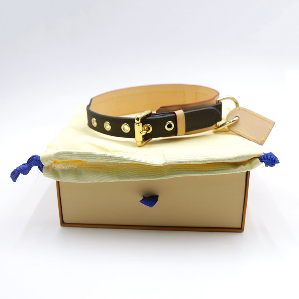 Designer Collars Set White Multi collar Dog Tag Durable Leather Collar and Leash with Metal Buckle for Small Dogs Puppy Collar Traction Rope Pet Tract