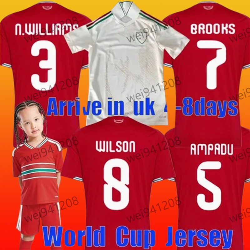 New 2026 2027 World… - image