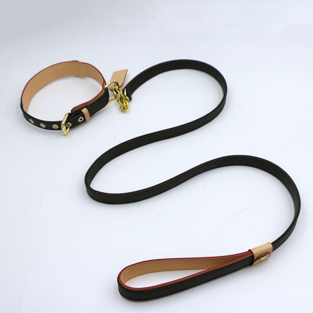 Designer Collars Set White Multi collar Dog Tag Durable Leather Collar and Leash with Metal Buckle for Small Dogs Puppy Collar Traction Rope Pet Tract