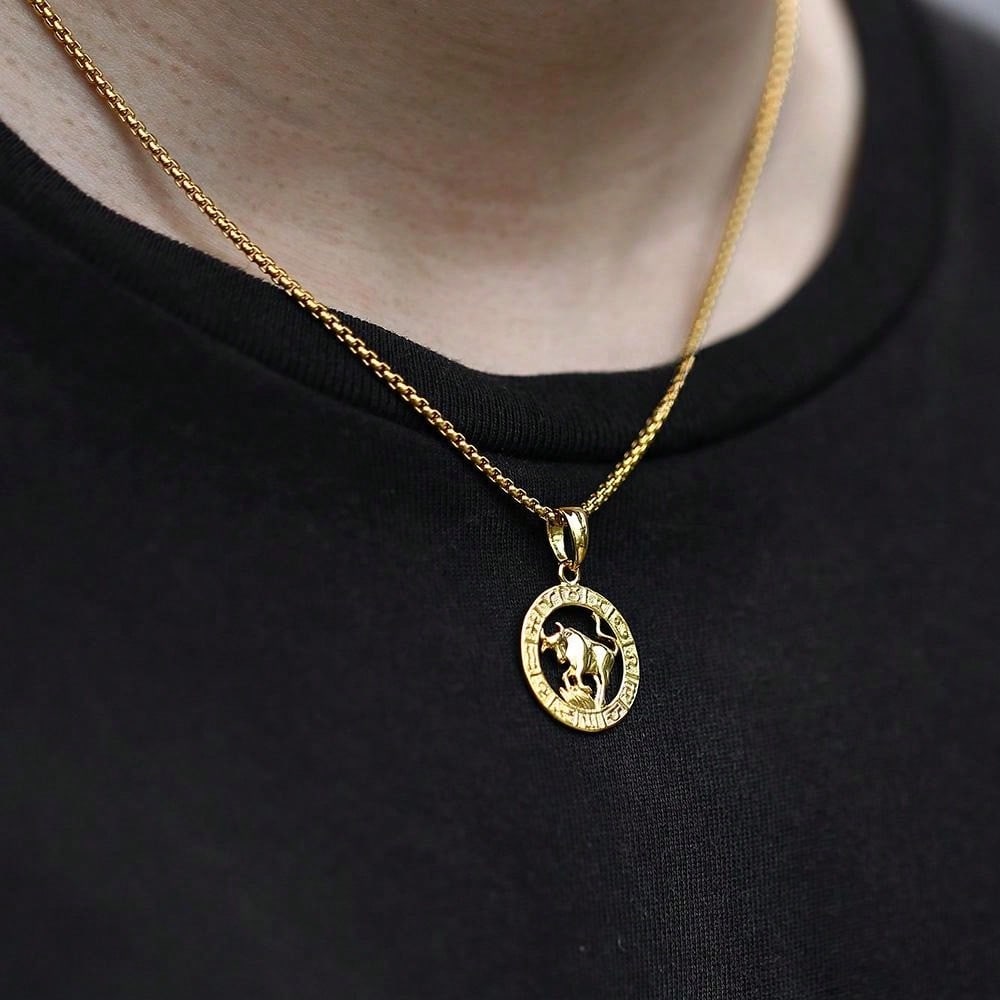1PC Stainless Steel Vintage Zodiac Necklace For Men Women Gold Color 12 Constellation Horoscope Pendant with Box Chain Gift