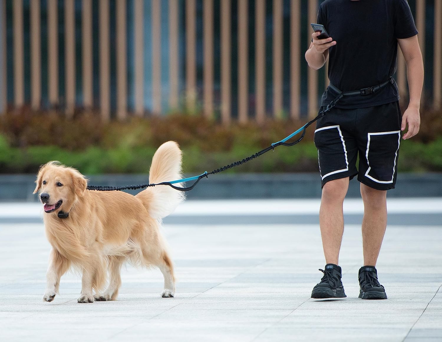 Hands Free Dog Leash with Zipper Pouch, Dual Padded Handles and Durable Bungee for Walking, Jogging and Running Your Dog
