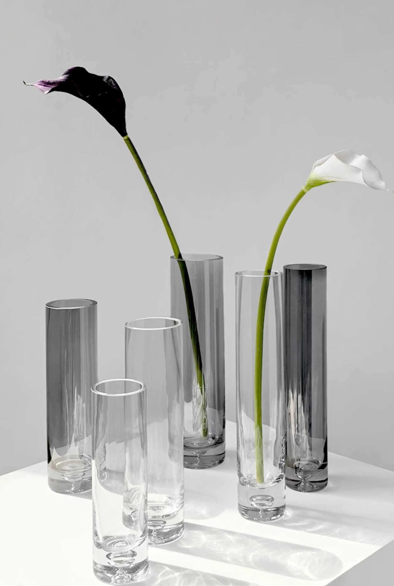Ins Light Luxury Style Straight Cylinder Slim Mouth Glass Vases - Large Medium Small Sizes Decorative Pieces for Living Room C251124