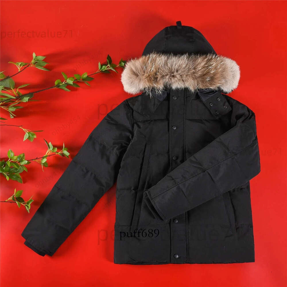 4 5E30 Winter Goose… - image