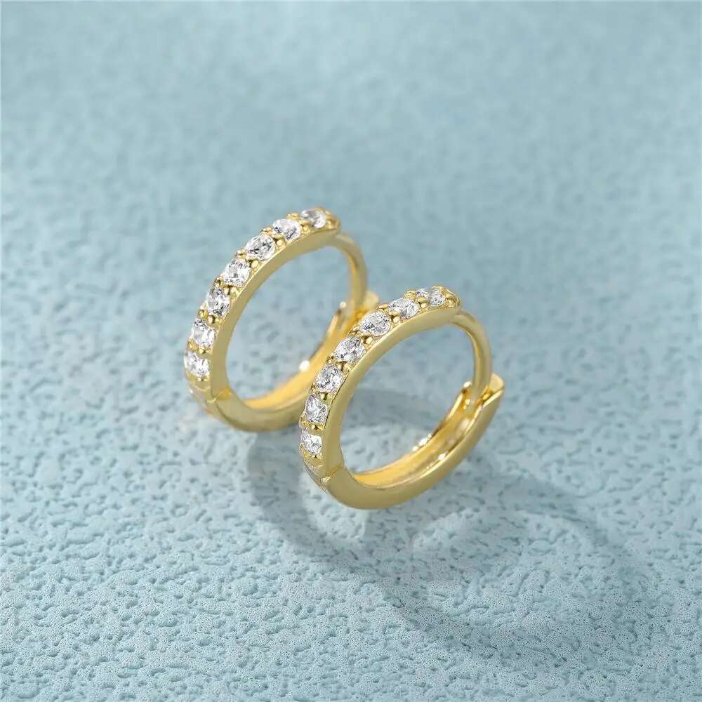 Aide D Color Moissanite Hoop For Women Sterling Sier Gold Plated 6/7/8/9Mm Versatile Classic Hie Earrings