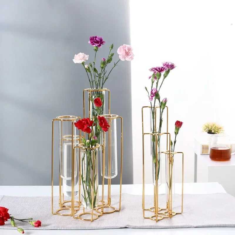Nordic Vase Transparent Glass Vase Living Room Flower Light Luxury Home Decoration Creative Ornament Flower Rose Flower Grower C251124