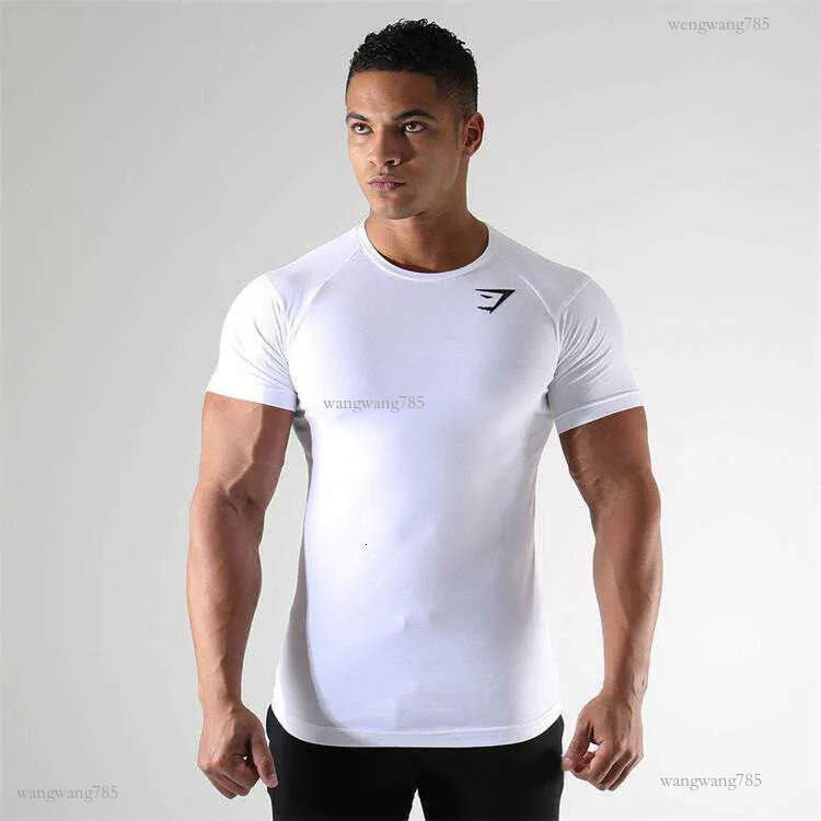 2023 Men's short-sleeved cross-border trend Men's T-shirt Summer New sports short-sleeved quick-drying clothes training breathable tight-fitting clothes W250117