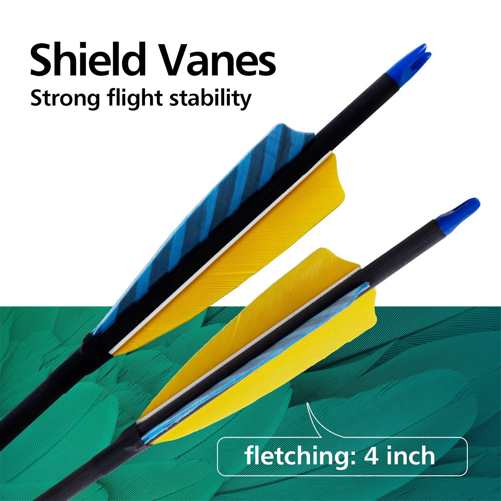 Archery Targeting Arrows Turkey Feathers without arrowheads 31inch Carbon Hunting Arrows 6.2mm Training Arrows for Recurve Bow & Compound Bow Spine250
