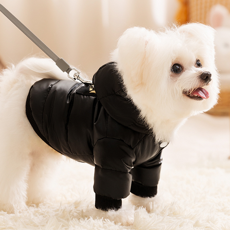 Black Gold Graphene Pet Down Jacket with Gold Print, Dirt-Resistant Warm Dog Coat with Hood, Leash Ring Design, High-End Fashionable Insulated Apparel - view 5