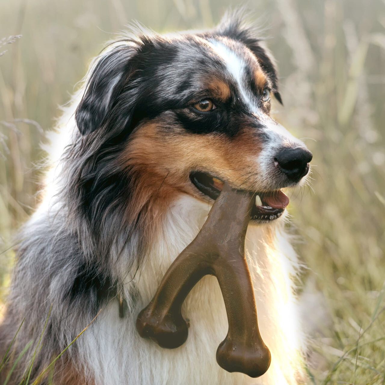 Pet dog chew stick interactive cleaning bone durable dog chew toy