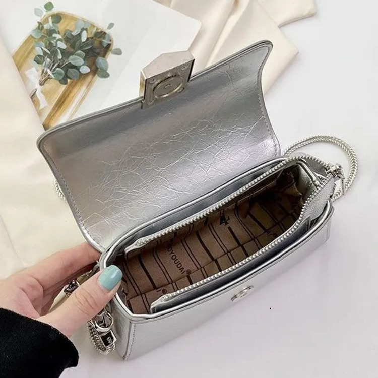 Luxury Brand Designer 2025 New Niche Women's High-Quality Texture Exquisite Chain Bag, Fashionable Versatile Single-Shoulder Crossbody Mini Bag