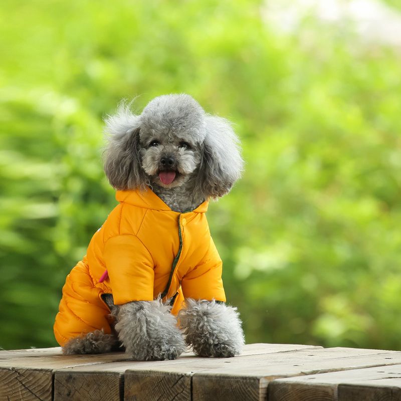 Designer Dog Clothes Winter Dog Apparel Waterproof Windproof Dogs Coats Warm Fleece Padded Cold Weather Pet Snowsuit for Chihuahua Poodles Bulldog Pom - view 7