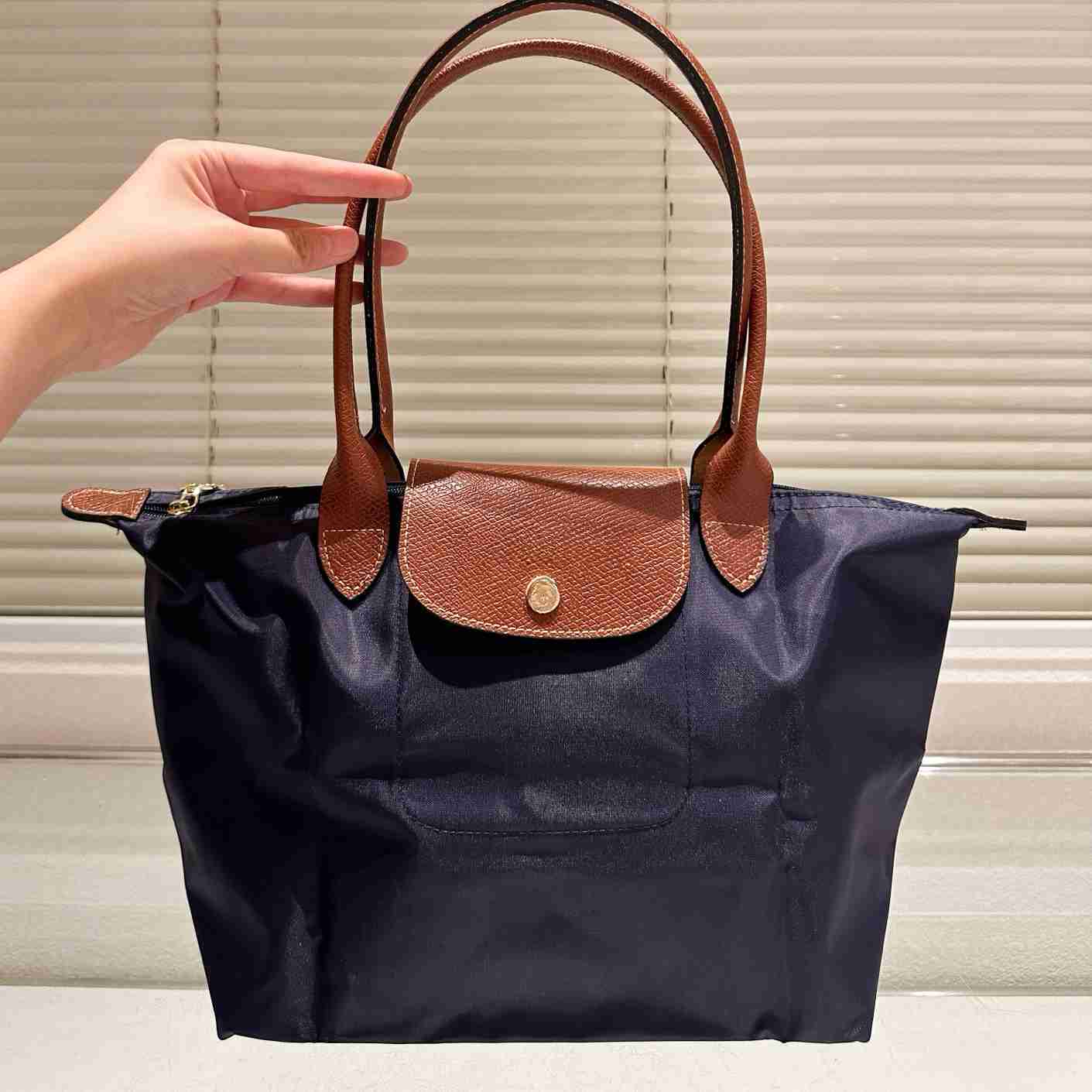 Totes Longly Champness Bag Longlys Bag Nylon Bag Designer Bag Luxury Bag Sac De Luxe Bolsa De Lujo Makeup Bag Classic Dumpling Tote Bag Shoulder Womens With Tag lady bag