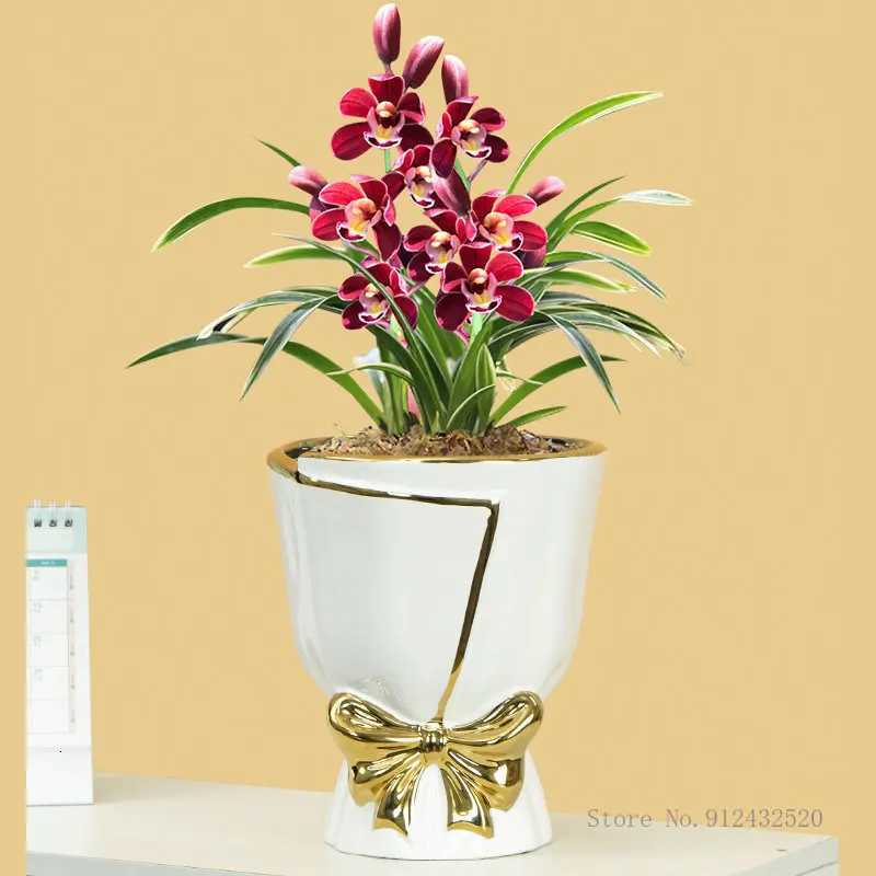 Luxury Butterfly Orchid Flower Vase Ceramic Light Special Pot Home Decor Green Orange Red White Grey Blue Bouquet 1Pc C251124
