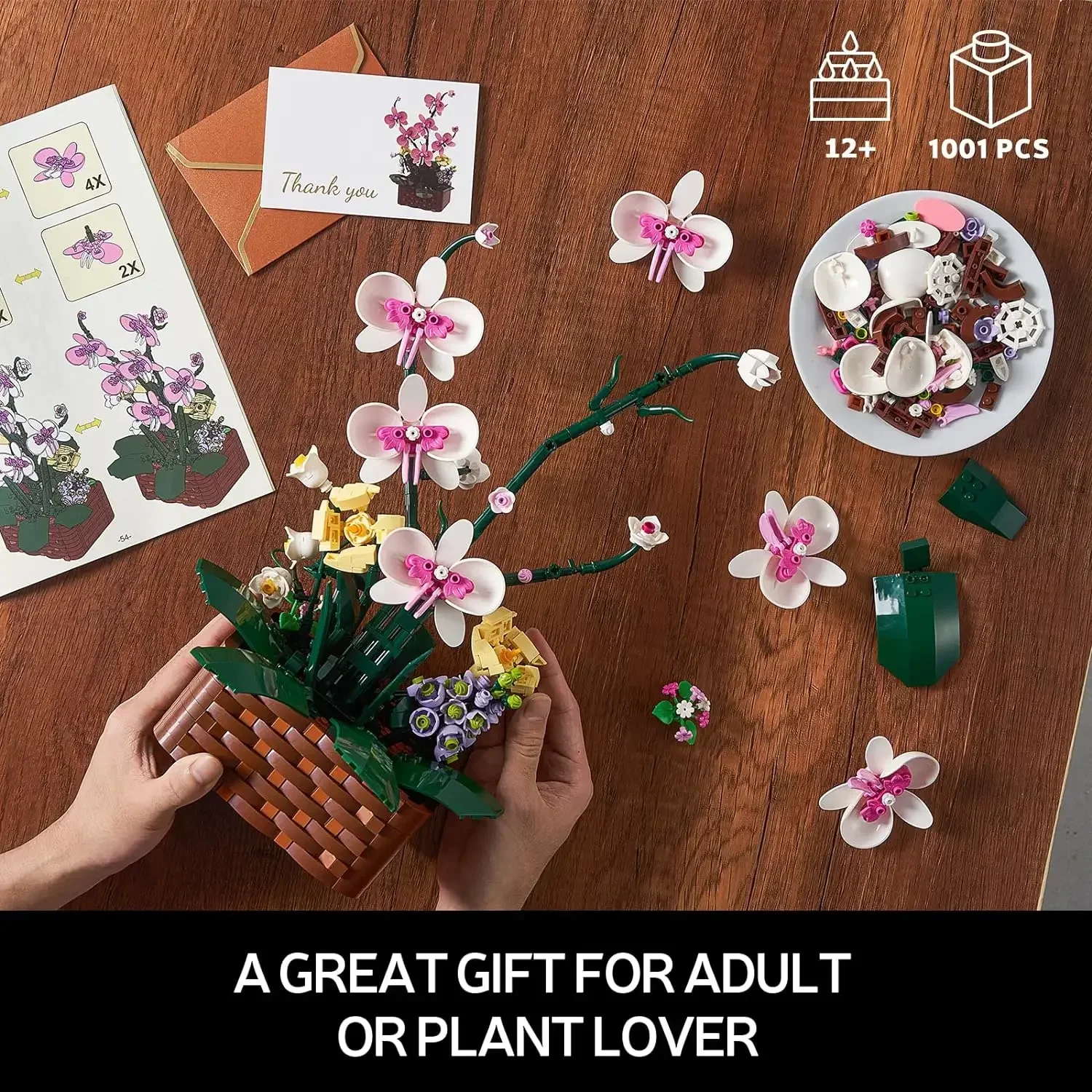 Orchids Potted Building Blocks Succulents Flower Model Assembly Moc Bricks Girls Gifts Home Decoration Holiday Gifts Kids Toys