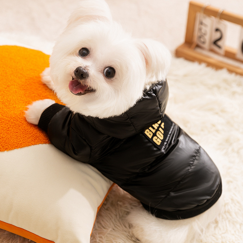 Black Gold Graphene Pet Down Jacket with Gold Print, Dirt-Resistant Warm Dog Coat with Hood, Leash Ring Design, High-End Fashionable Insulated Apparel - view 6