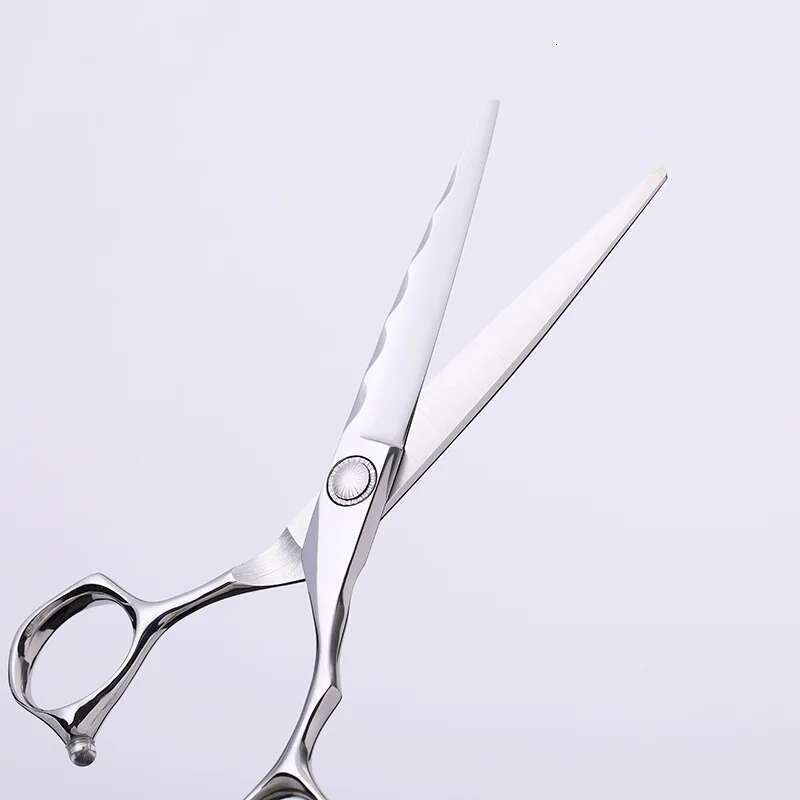6.0-Inch Japan440C Bearing Professional Hairdressing Salon Barber's Special Flat Shears and Thinning Scissors Home Hairdressers