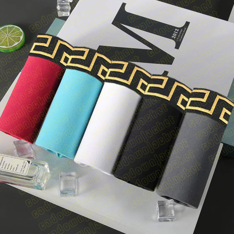 Wholesale Designer classic male boxer casual shorts Soft and breathable underwear size M-2XL