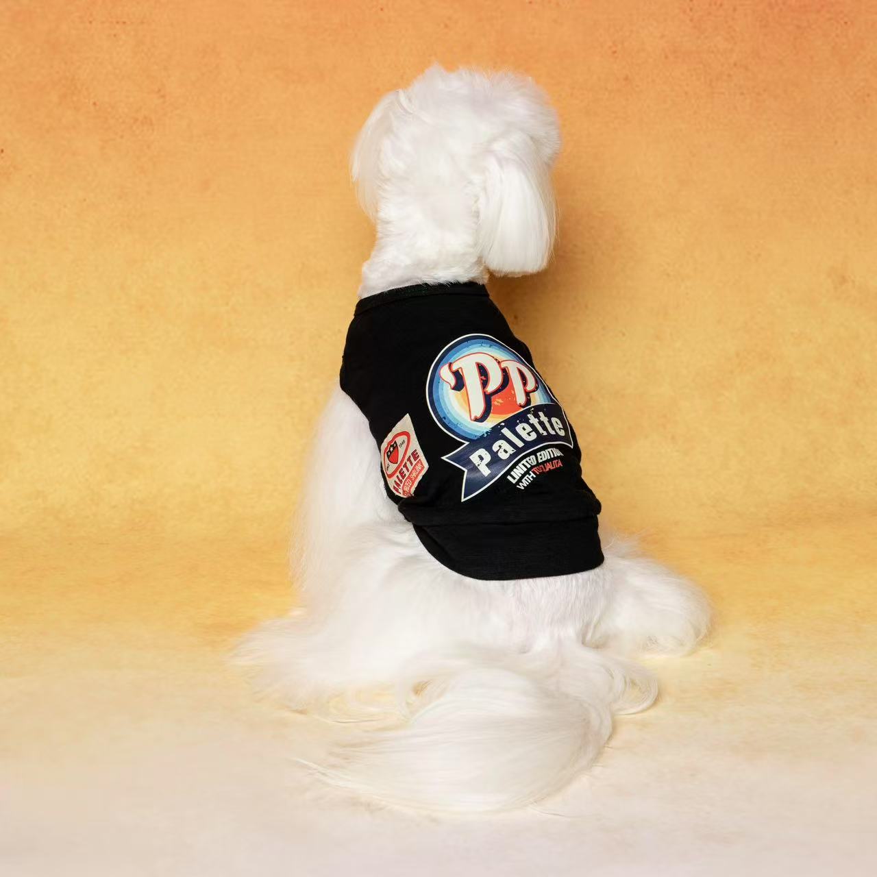 T00060Spring and Summer Pet Clothing Cats Dogs Internet Celebrity Destroyed Denim Star Pocket Sleeveless Sweatshirt