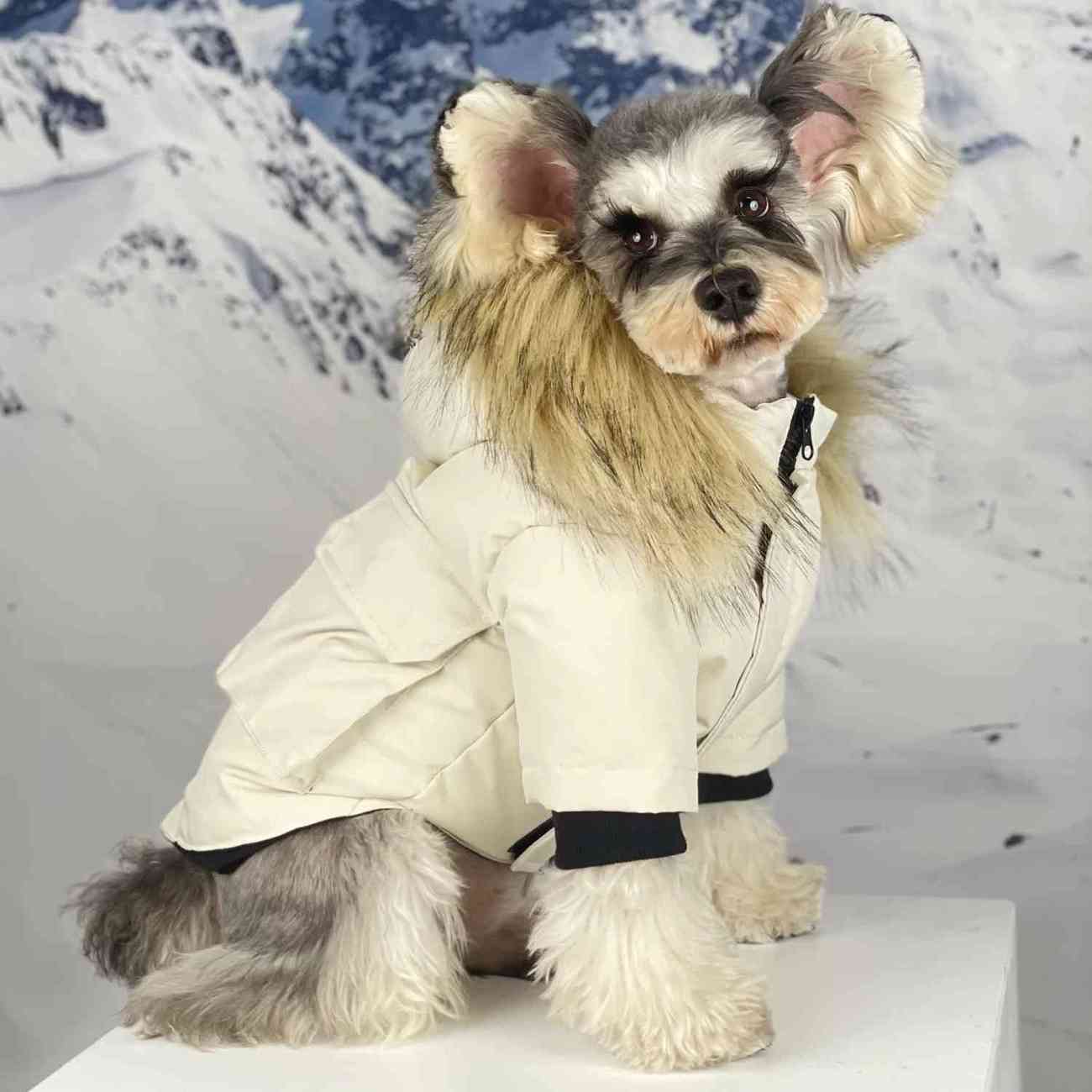 Winter Dog Fur Collar Cotton Coat, Cold-Resistant Pet Parka, Fashion Hooded Puppy Jacket, Stylish Snowshoe Bichon Shiba Inu Apparel, Small Medium Dog 