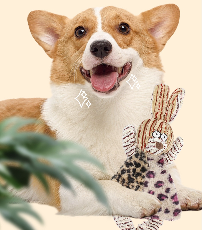 Dog Squeak Toys 2 Pack Leopard Print No Stuffing Plush Dogs Chew Toy for Small Medium Large Breed Dogs Durable Puppy Teething Interactive to Keep Them