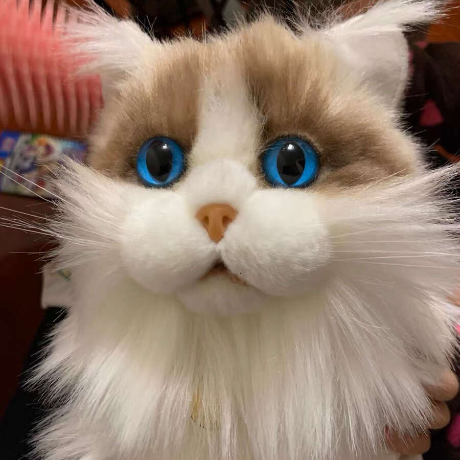 Style Realistic Ragdoll Plush Little Cat Stuffed Doll Children's Toy Birthday Gift